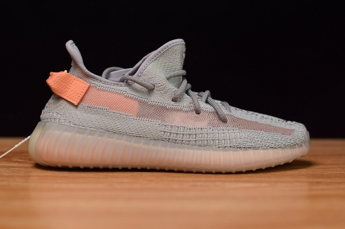 Adidas Yeezy Boost 350 V2 True Form 2019 Grailed