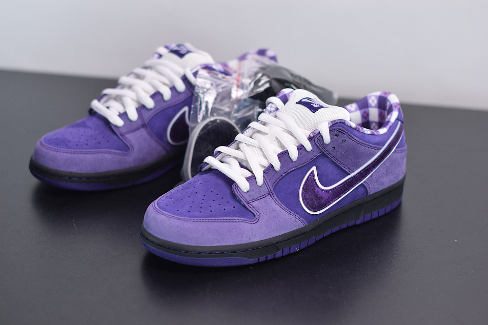 ts sb dunk